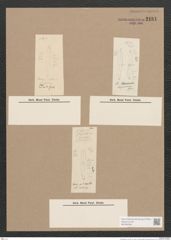 Pleurosigma sp. (de-Toni-Nr.: Genus 13) Zeichnungen Sammlung Grunow Nr. 2181 (NHMW-BOT-W0369248)